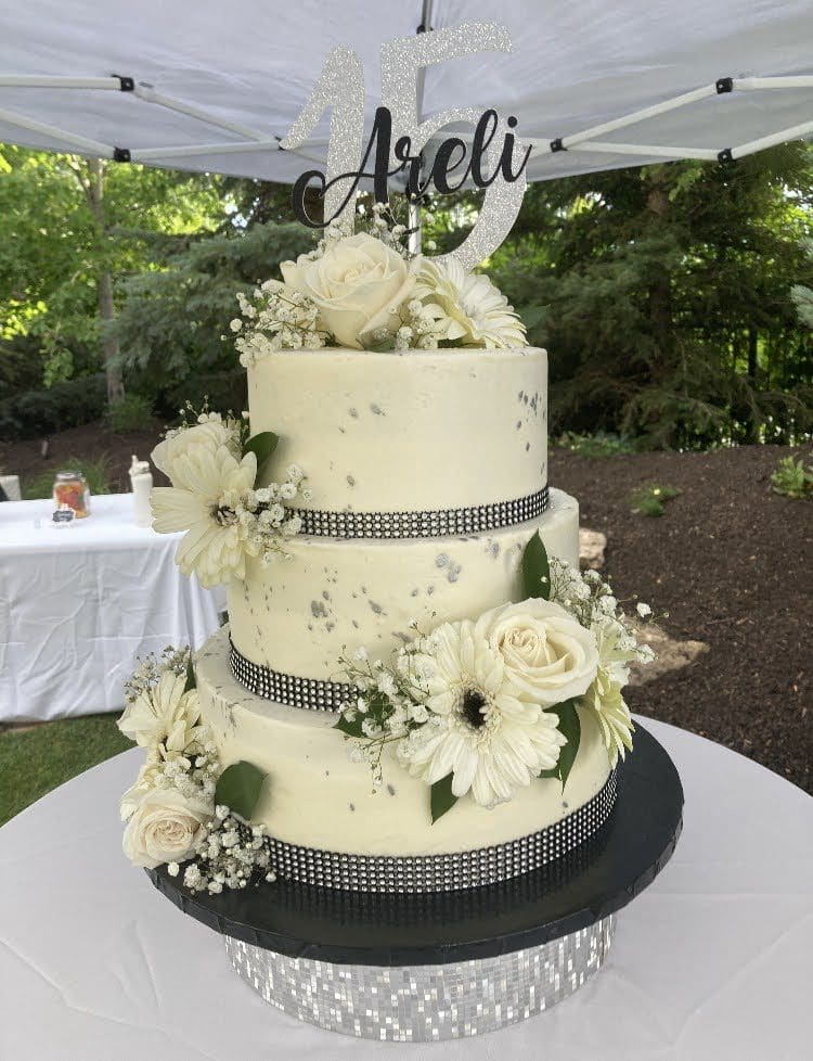 Quinceanera Black and Silver - Areli