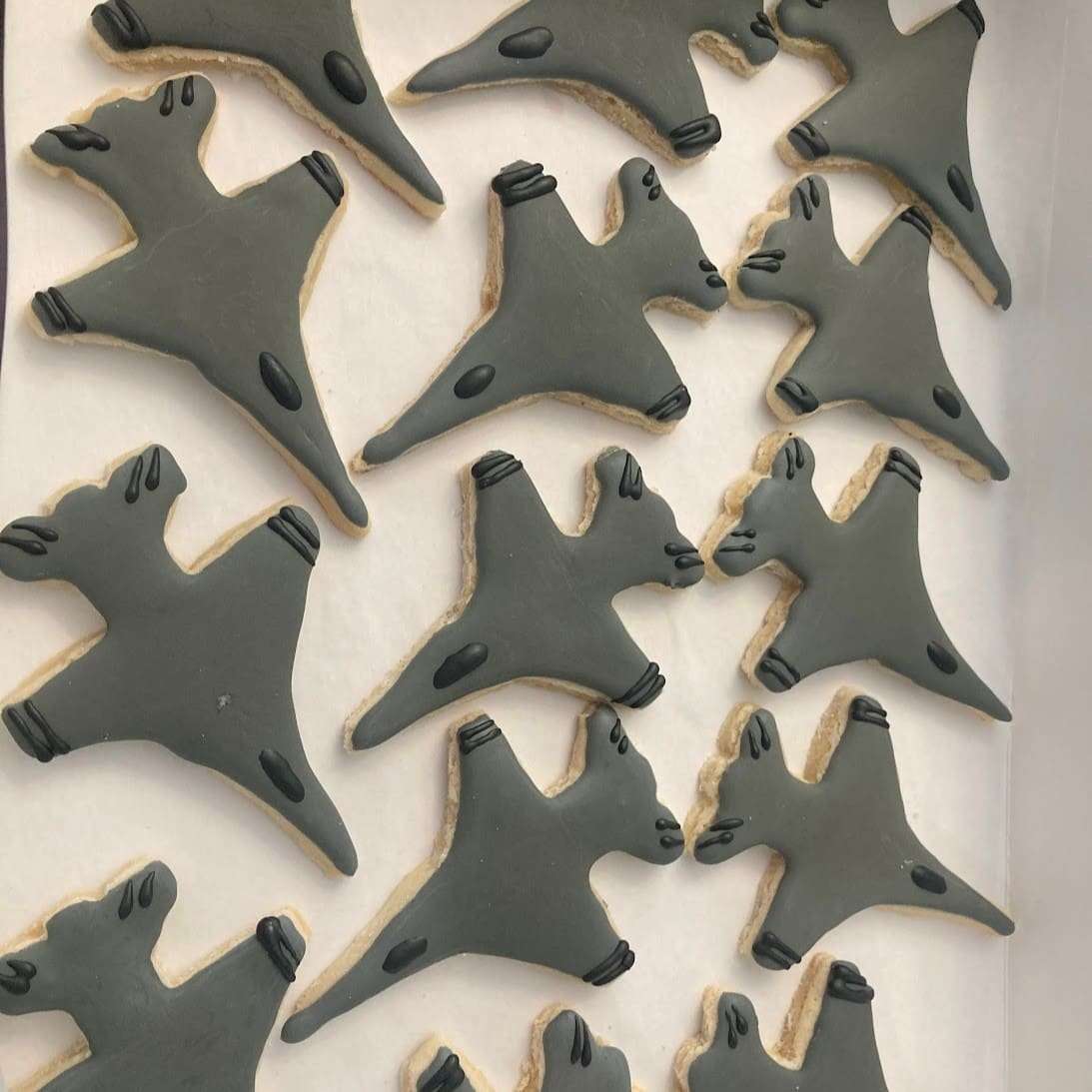 Annettes - F16 Jets RI CookiesSQ Annettes-F16-Jets-RI-Cookie