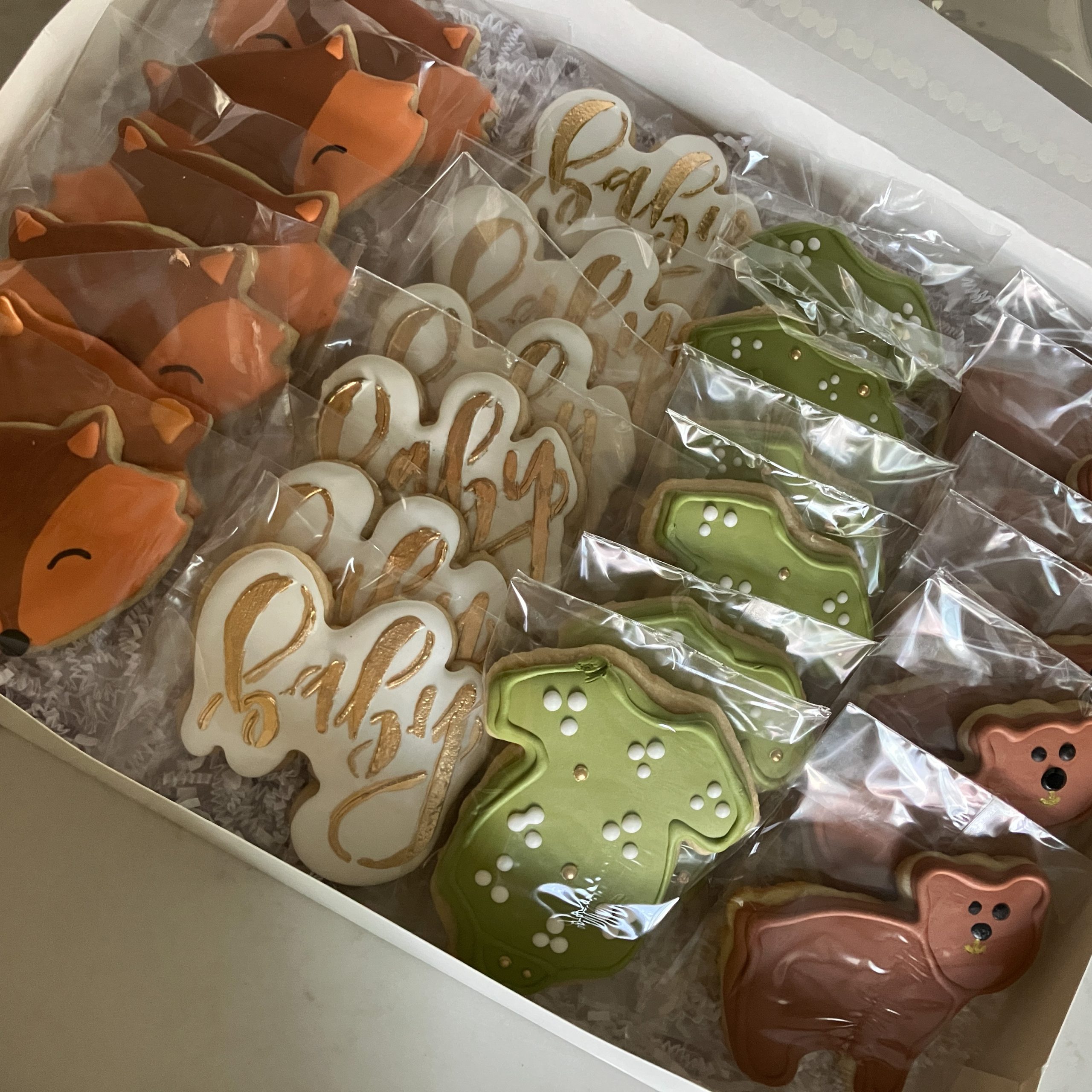 Annettes Woodland Animals RI Cookies Foxes, Baby, Bear, Onesies